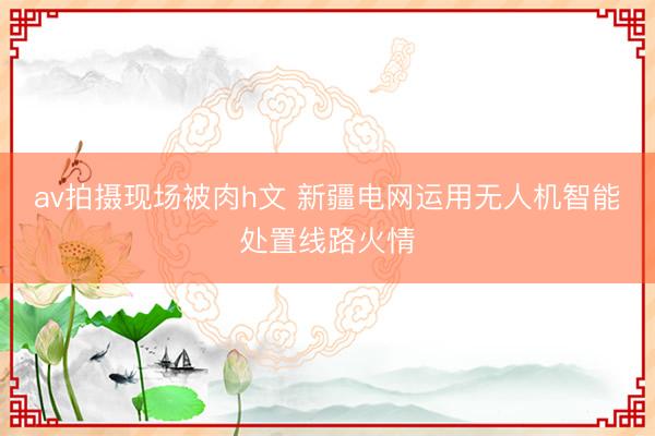 av拍摄现场被肉h文 新疆电网运用无人机智能处置线路火情