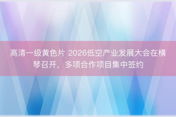 高清一级黄色片 2026低空产业发展大会在横琴召开，多项合作项目集中签约
