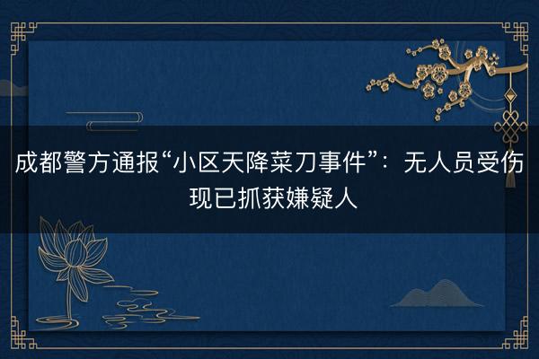 成都警方通报“小区天降菜刀事件”：无人员受伤 现已抓获嫌疑人