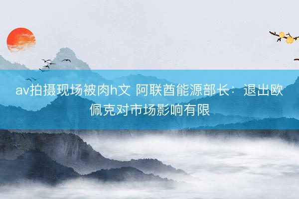 av拍摄现场被肉h文 阿联酋能源部长：退出欧佩克对市场影响有限