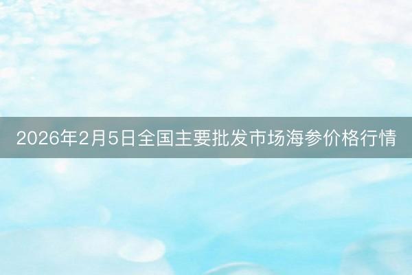 2026年2月5日全国主要批发市场海参价格行情