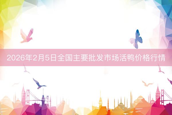 2026年2月5日全国主要批发市场活鸭价格行情