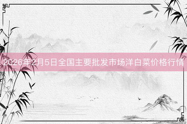 2026年2月5日全国主要批发市场洋白菜价格行情
