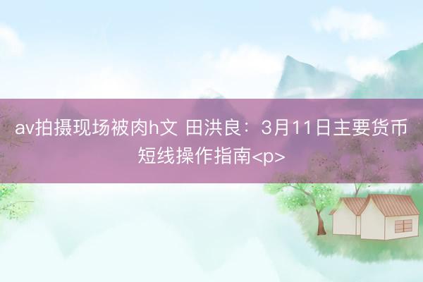 av拍摄现场被肉h文 田洪良：3月11日主要货币短线操作指南<p>
