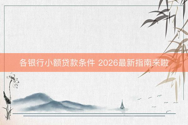 各银行小额贷款条件 2026最新指南来啦