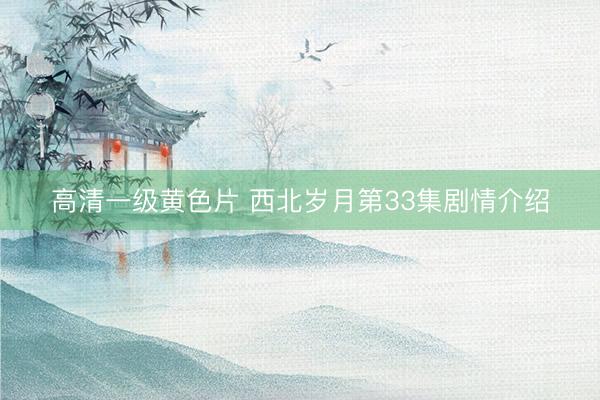 高清一级黄色片 西北岁月第33集剧情介绍