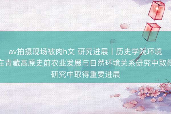 av拍摄现场被肉h文 研究进展丨历史学院环境考古团队在青藏高原史前农业发展与自然环境关系研究中取得重要进展