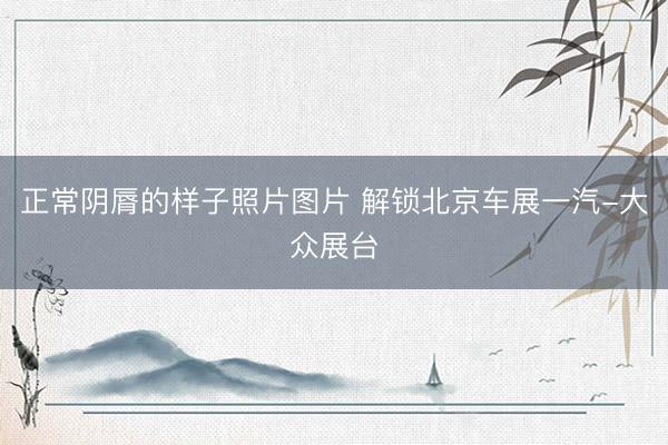 正常阴脣的样子照片图片 解锁北京车展一汽-大众展台