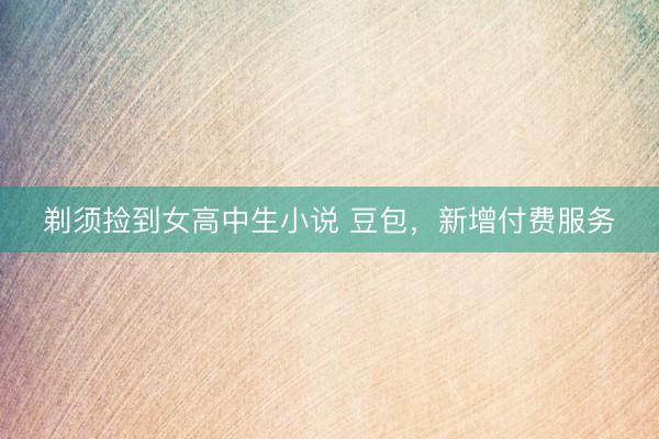 剃须捡到女高中生小说 豆包，新增付费服务
