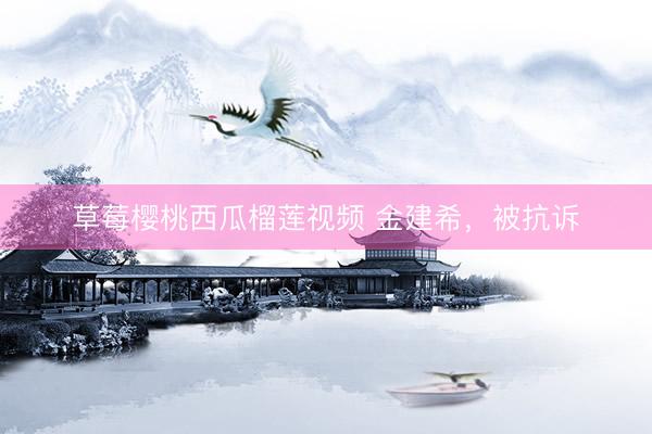 草莓樱桃西瓜榴莲视频 金建希，被抗诉