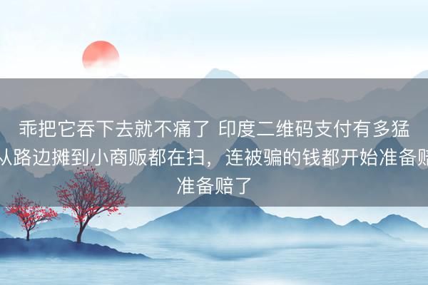 乖把它吞下去就不痛了 印度二维码支付有多猛？从路边摊到小商贩都在扫，连被骗的钱都开始准备赔了