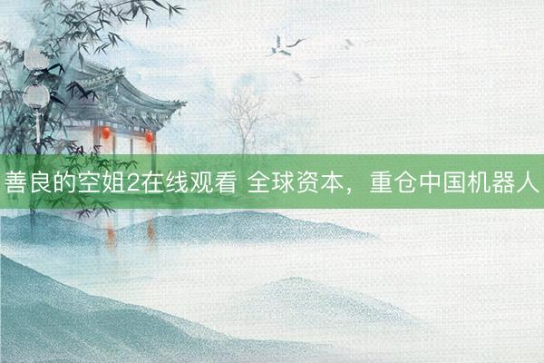 善良的空姐2在线观看 全球资本，重仓中国机器人