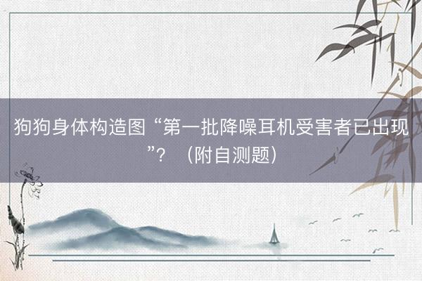 狗狗身体构造图 “第一批降噪耳机受害者已出现”？（附自测题）