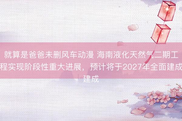 就算是爸爸未删风车动漫 海南液化天然气二期工程实现阶段性重大进展，预计将于2027年全面建成