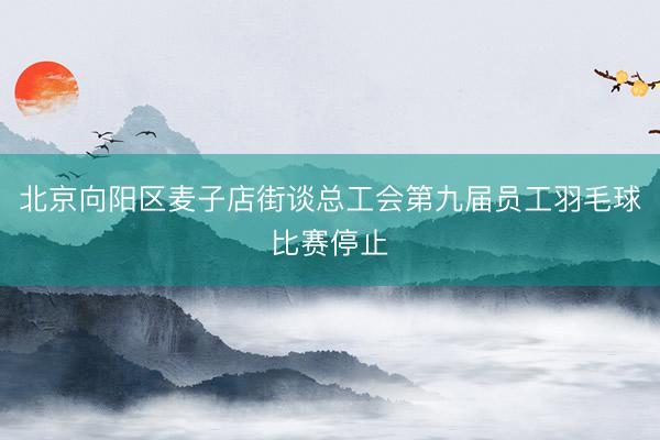 北京向阳区麦子店街谈总工会第九届员工羽毛球比赛停止
