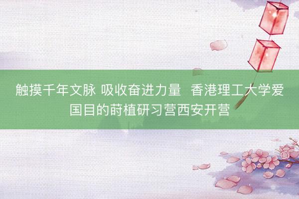 触摸千年文脉 吸收奋进力量  香港理工大学爱国目的莳植研习营西安开营