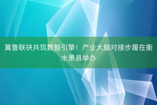 冀鲁联袂共筑数智引擎！产业大脑对接步履在衡水景县举办