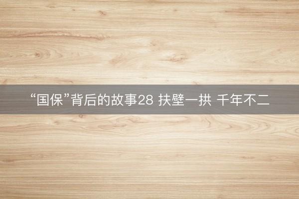 “国保”背后的故事28 扶壁一拱 千年不二