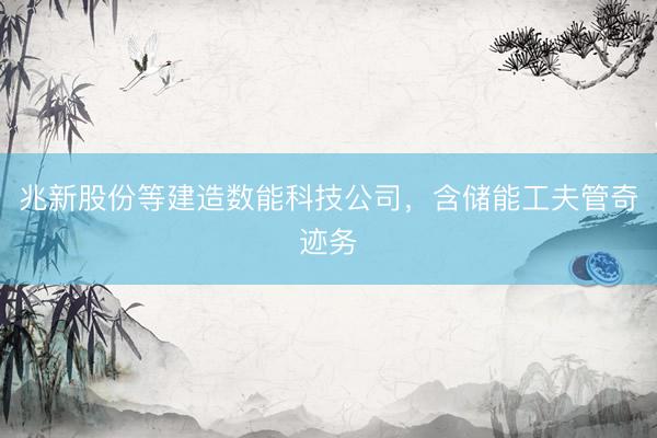 兆新股份等建造数能科技公司，含储能工夫管奇迹务