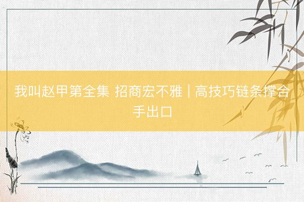 我叫赵甲第全集 招商宏不雅 | 高技巧链条撑合手出口