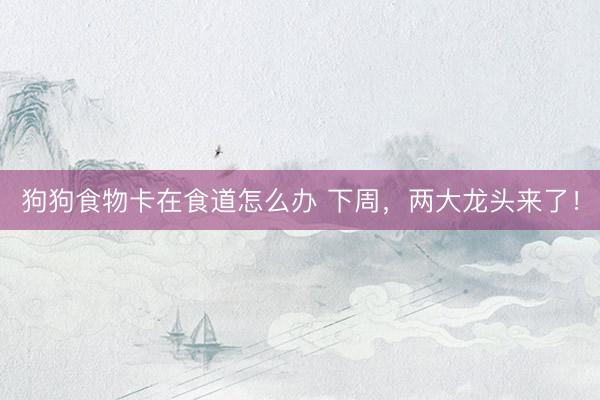 狗狗食物卡在食道怎么办 下周，两大龙头来了！