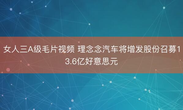 女人三A级毛片视频 理念念汽车将增发股份召募13.6亿好意思元