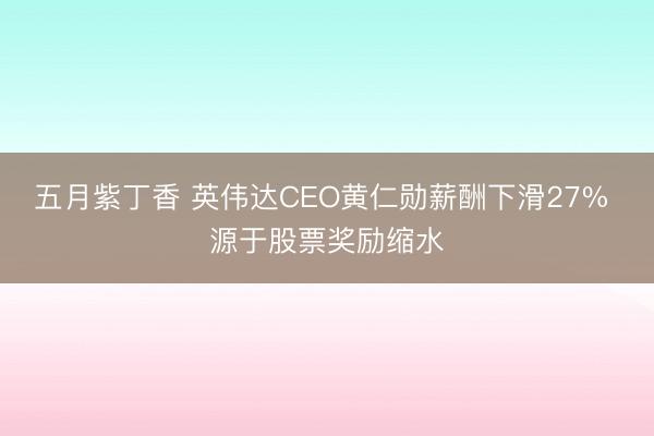 五月紫丁香 英伟达CEO黄仁勋薪酬下滑27% 源于股票奖励缩水