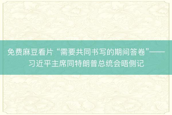 免费麻豆看片 “需要共同书写的期间答卷”——习近平主席同特朗普总统会晤侧记
