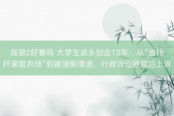 战狼2好看吗 大学生返乡创业12年：从“省标杆家庭农场”到被强制清退，行政诉讼被驳后上诉