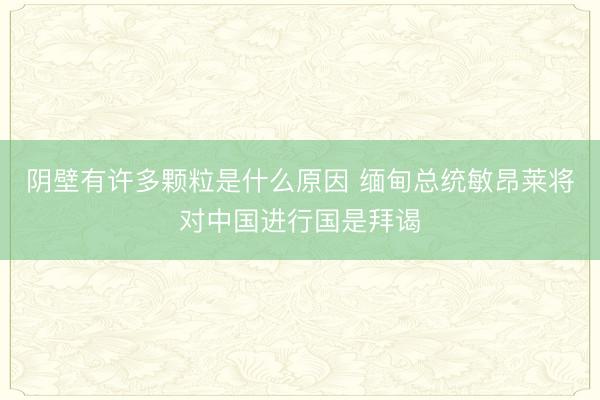 阴壁有许多颗粒是什么原因 缅甸总统敏昂莱将对中国进行国是拜谒