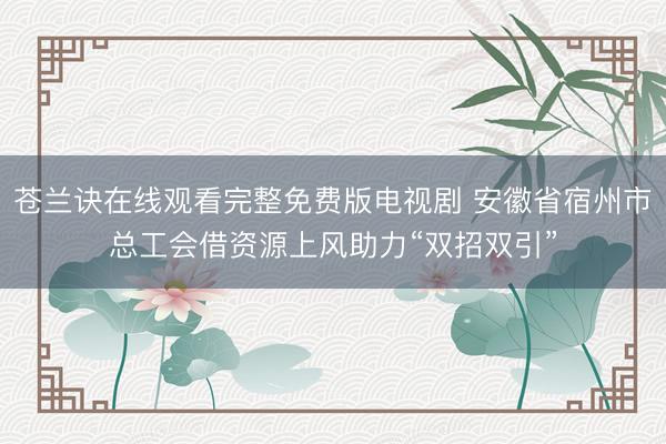 苍兰诀在线观看完整免费版电视剧 安徽省宿州市总工会借资源上风助力“双招双引”