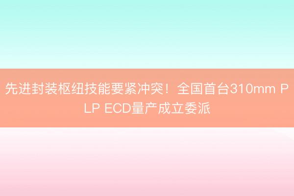 先进封装枢纽技能要紧冲突！全国首台310mm PLP ECD量产成立委派