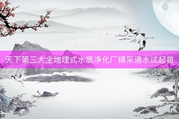 天下第三大全地埋式水质净化厂精采通水试起首